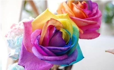 t01c08c0e8b9b19111a.webp_看图王.jpg t01c08c0e8b9b19111a.webp_看图王.jpg